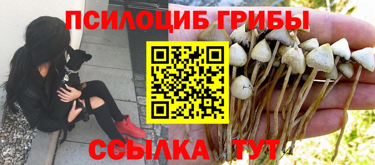 Галлюциногенные грибы Cubensis Торжок