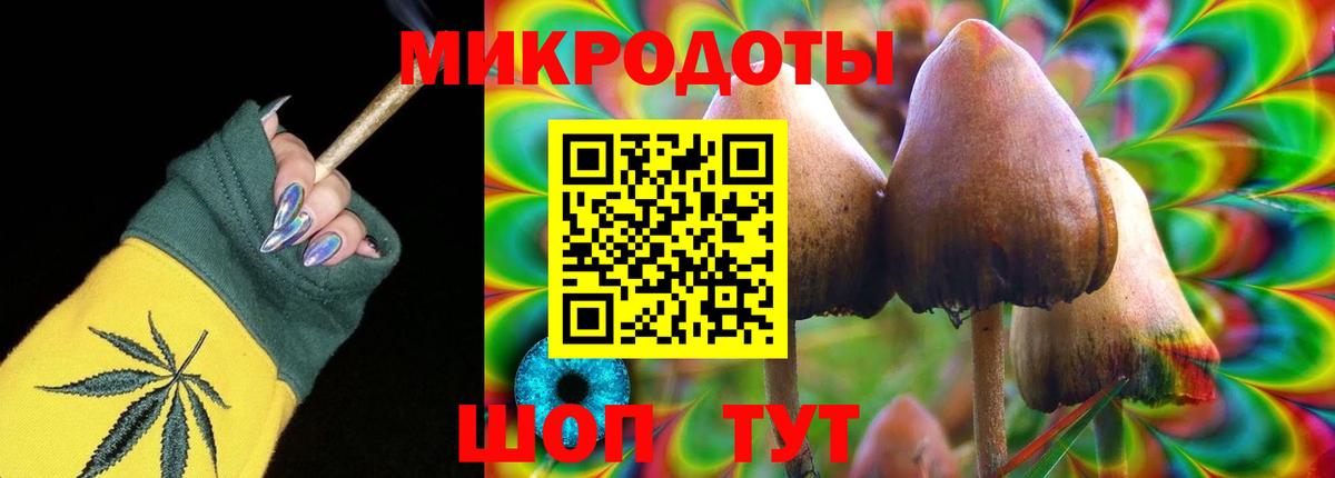 Псилоцибиновые грибы MAGIC MUSHROOMS  Псилоцибиновые грибы прущие грибы  Вход с VPN  где купить наркотик  Торжок 